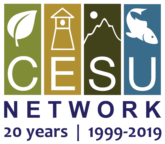 CESU 20th anniversary logo